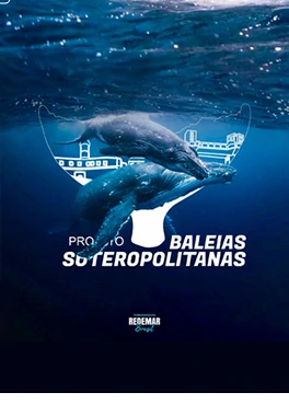 img-apre-projeto-baleia-soteropolitana